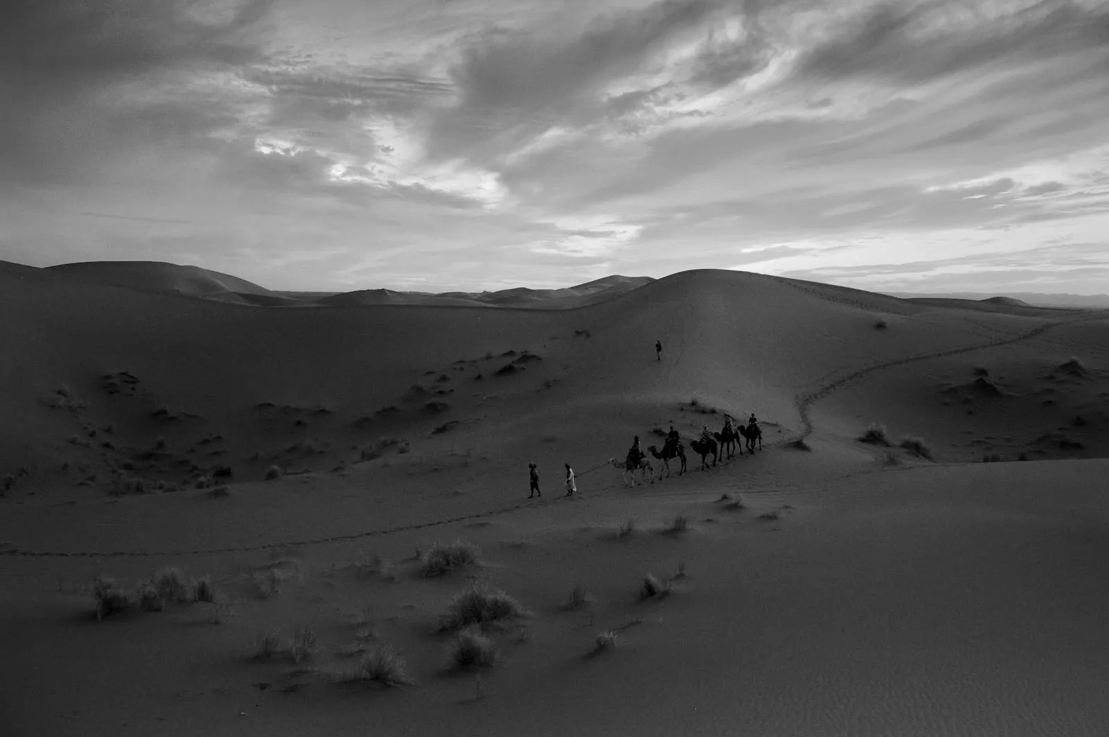 Caravane de chameaux traversant les dunes orange de l'Erg Chebbi à Merzouga, Maroc